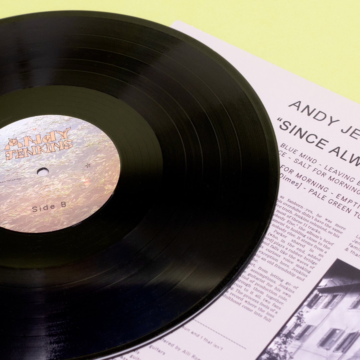 Andy Jenkins - Since Always (LP)