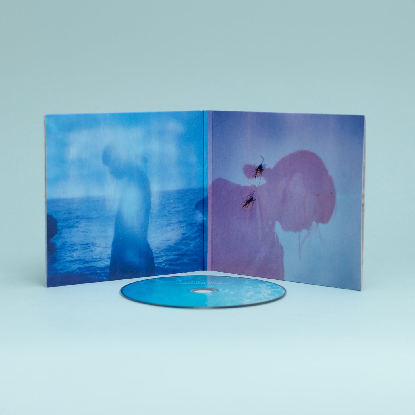 Ichiko Aoba - Luminescent Creatures (CD)