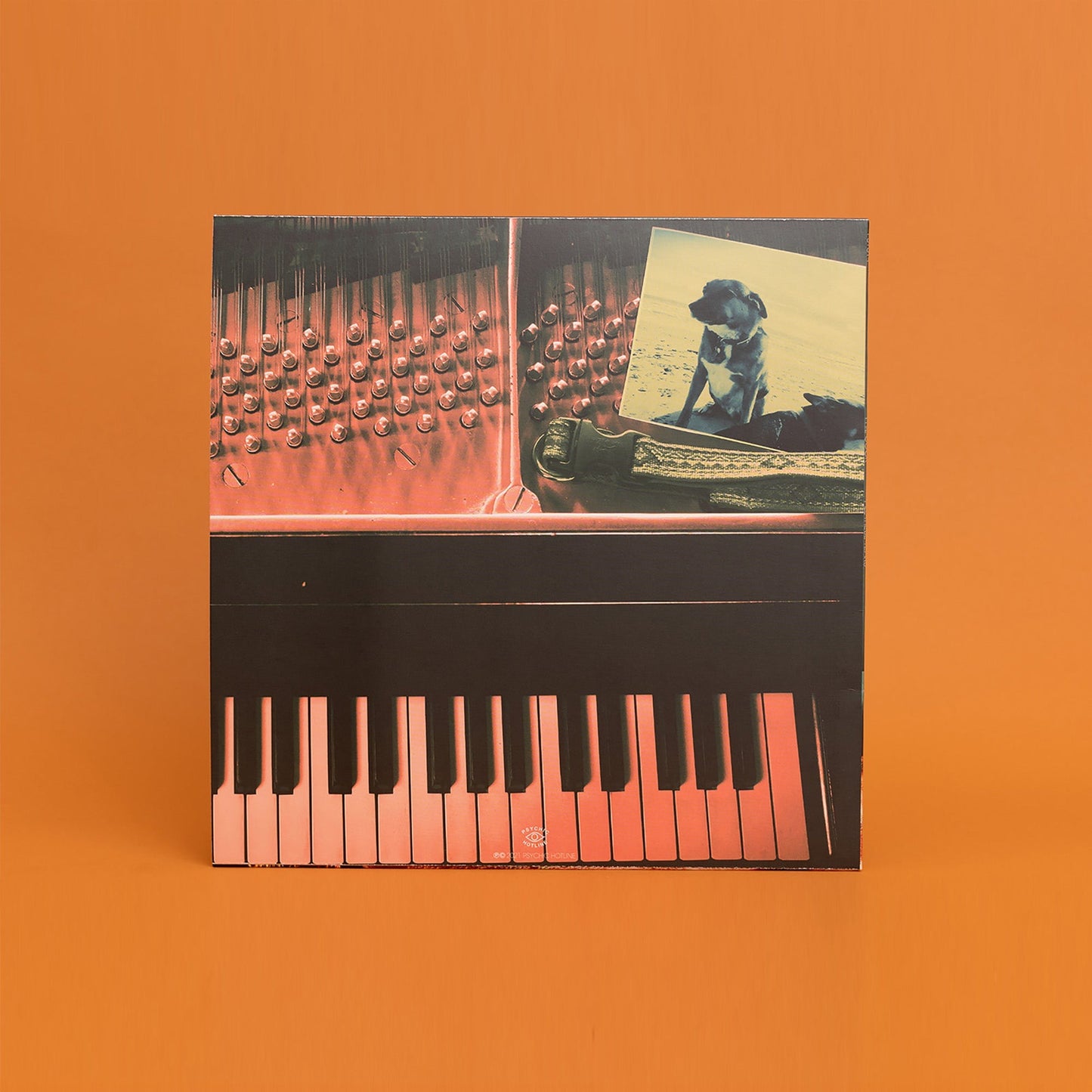 Phil Cook - All These Years (White LP)