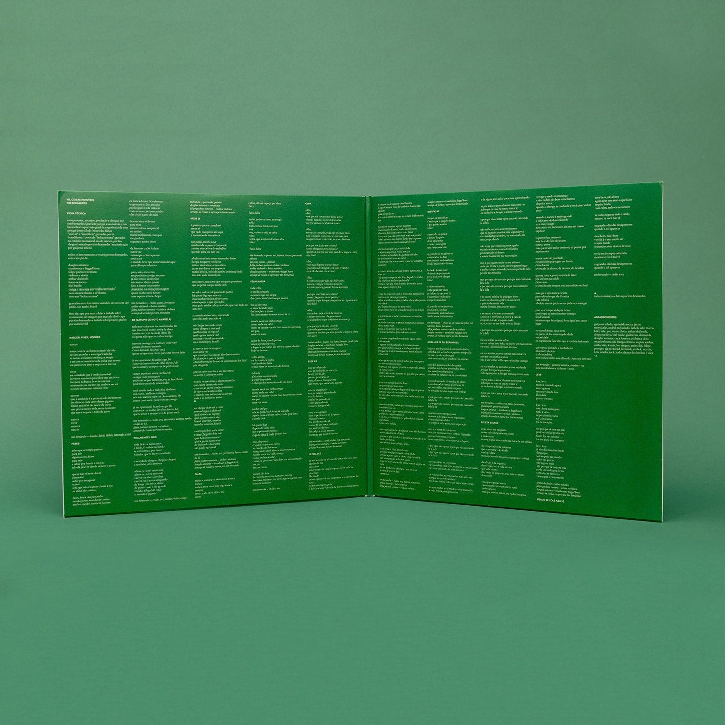Tim Bernardes - Mil Coisas Invisíveis (2LP)