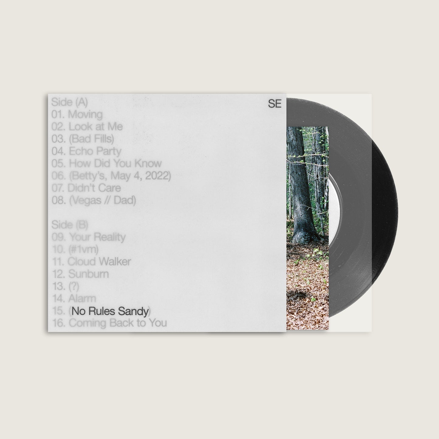 Sylvan Esso - No Rules Sandy (LP)
