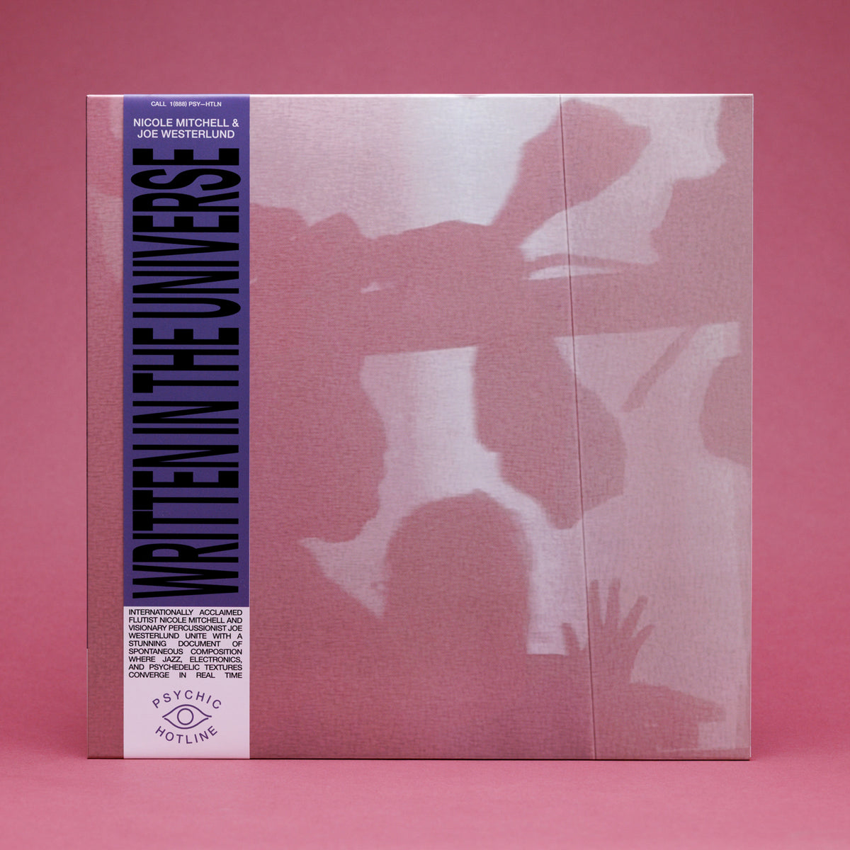 Nicole Mitchell & Joe Westerlund - Written in the Universe (LP)