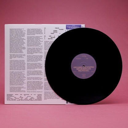 Nicole Mitchell & Joe Westerlund - Written in the Universe (LP)