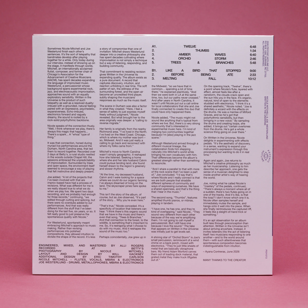 Nicole Mitchell & Joe Westerlund - Written in the Universe (LP)
