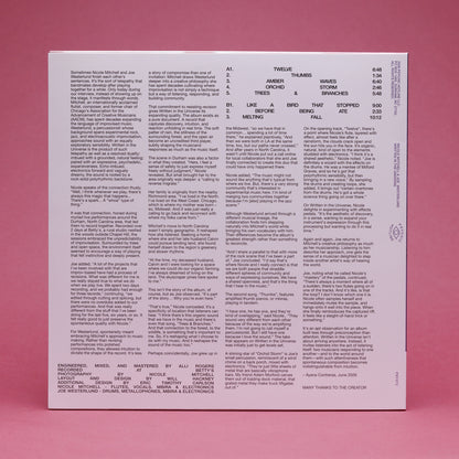 Nicole Mitchell & Joe Westerlund - Written in the Universe (LP)
