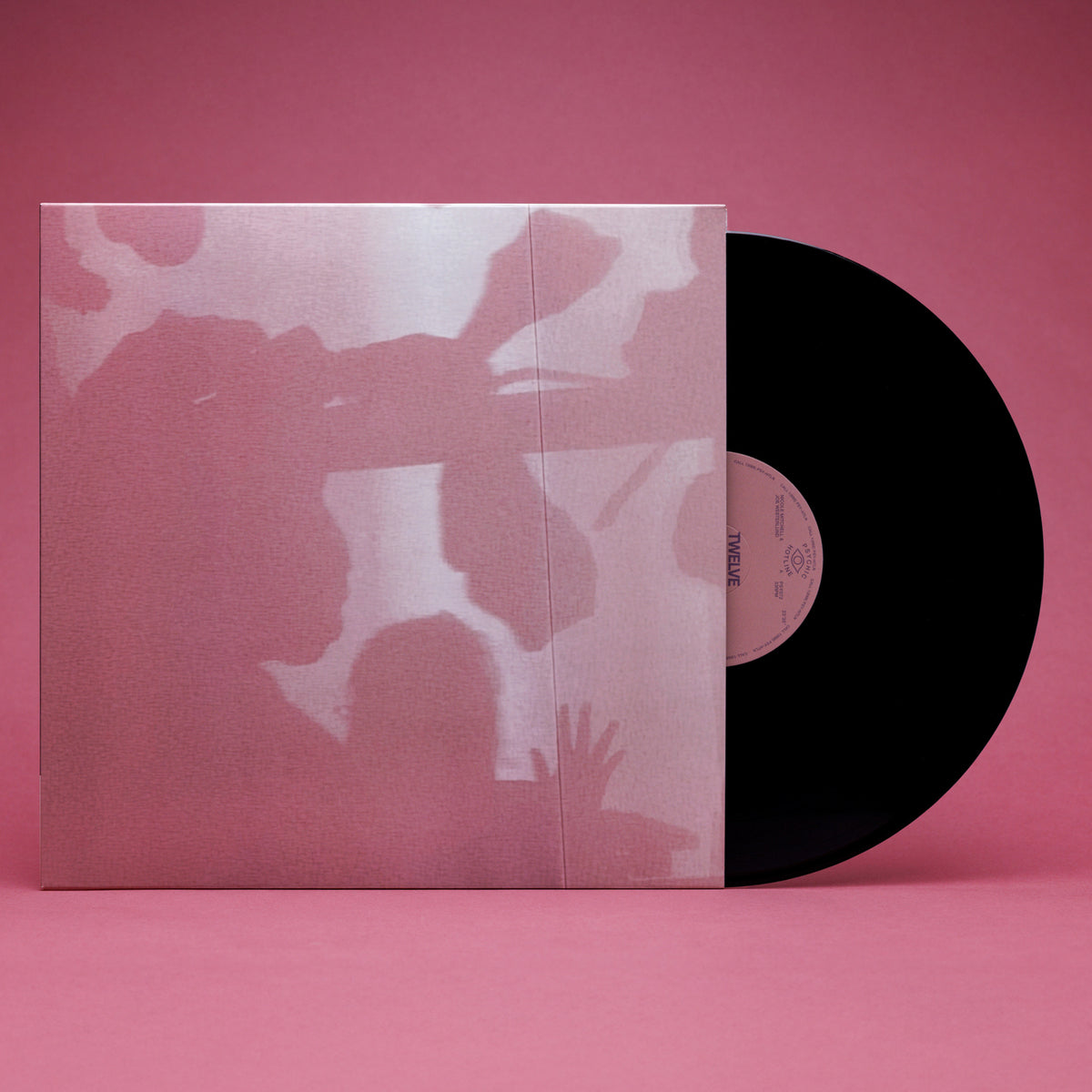 Nicole Mitchell & Joe Westerlund - Written in the Universe (LP)