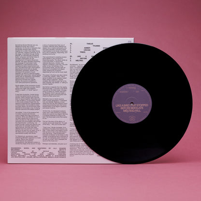 Nicole Mitchell & Joe Westerlund - Written in the Universe (LP)