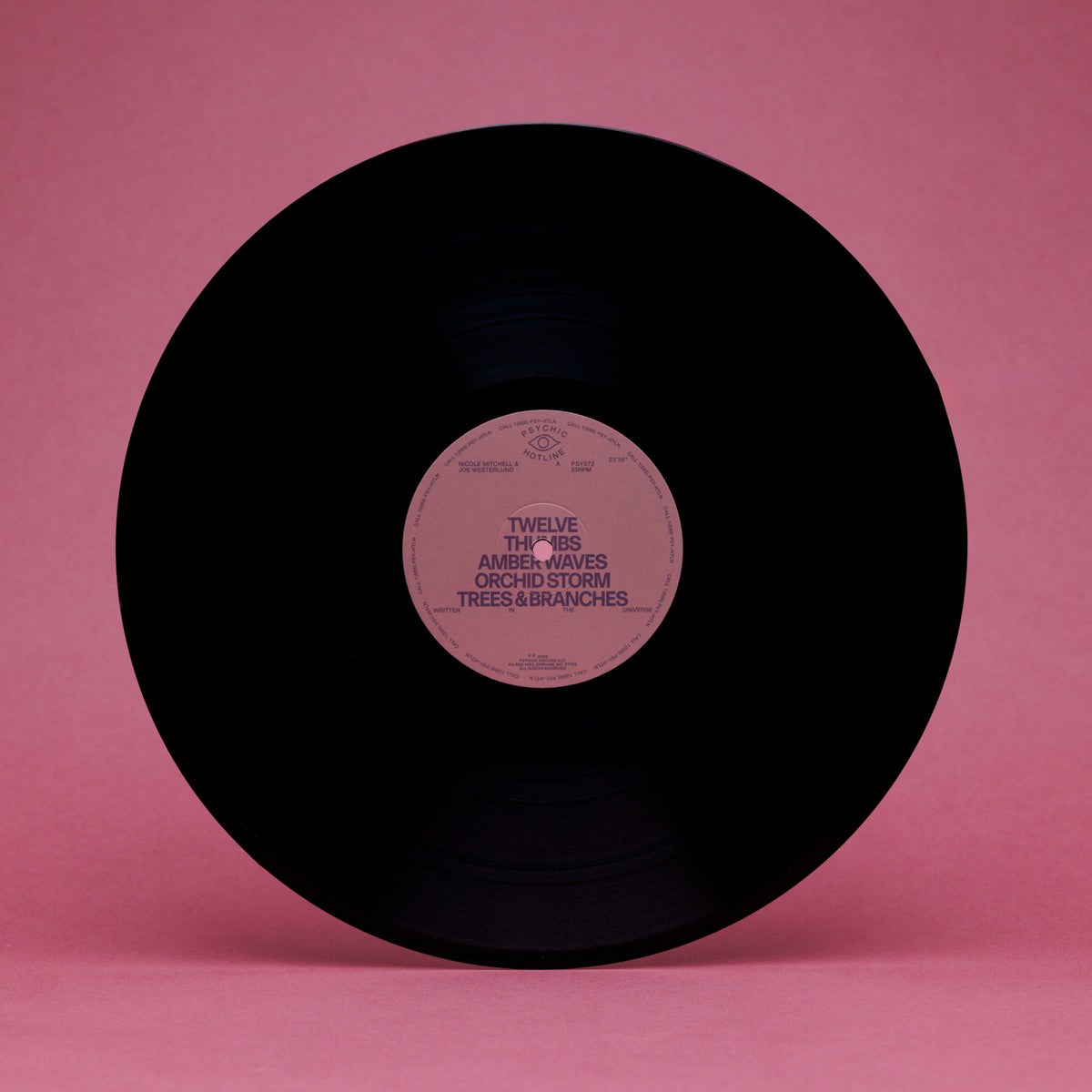 Nicole Mitchell & Joe Westerlund - Written in the Universe (LP)