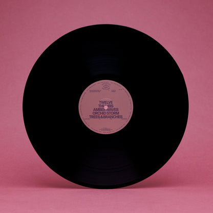 Nicole Mitchell & Joe Westerlund - Written in the Universe (LP)