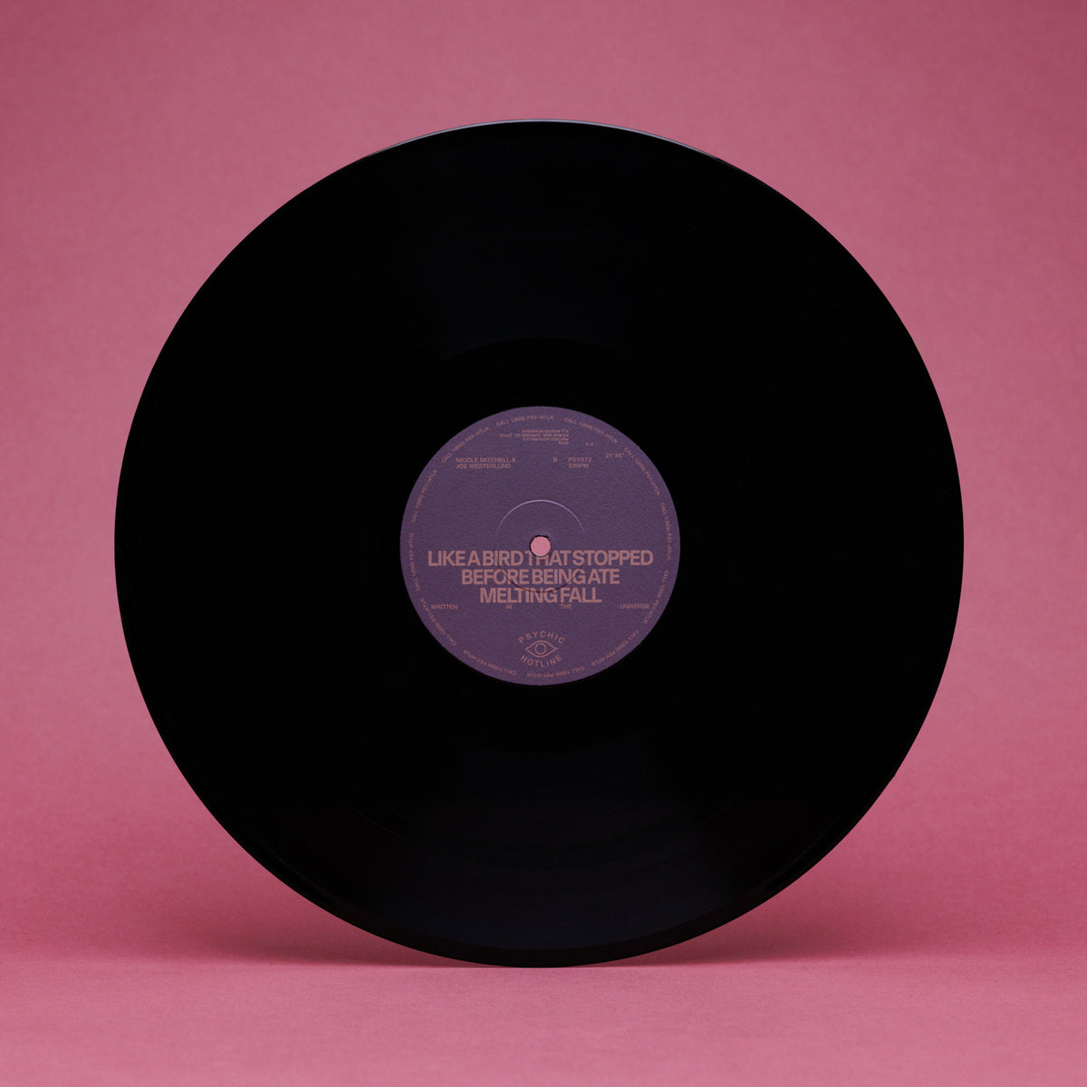 Nicole Mitchell & Joe Westerlund - Written in the Universe (LP)