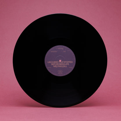 Nicole Mitchell & Joe Westerlund - Written in the Universe (LP)