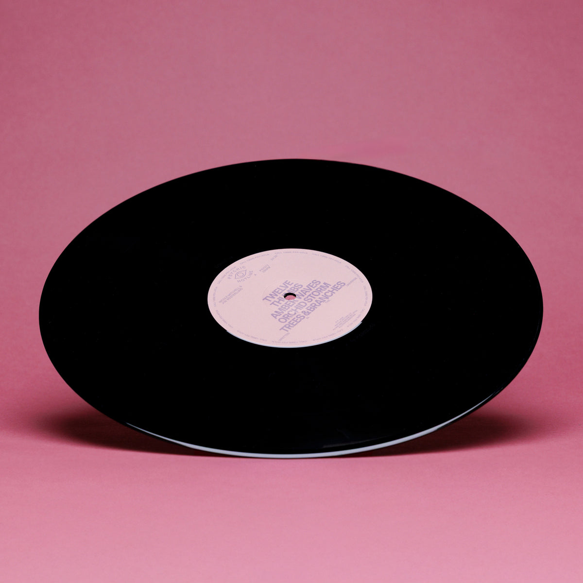 Nicole Mitchell & Joe Westerlund - Written in the Universe (LP)