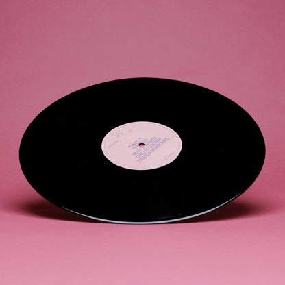 Nicole Mitchell & Joe Westerlund - Written in the Universe (LP)