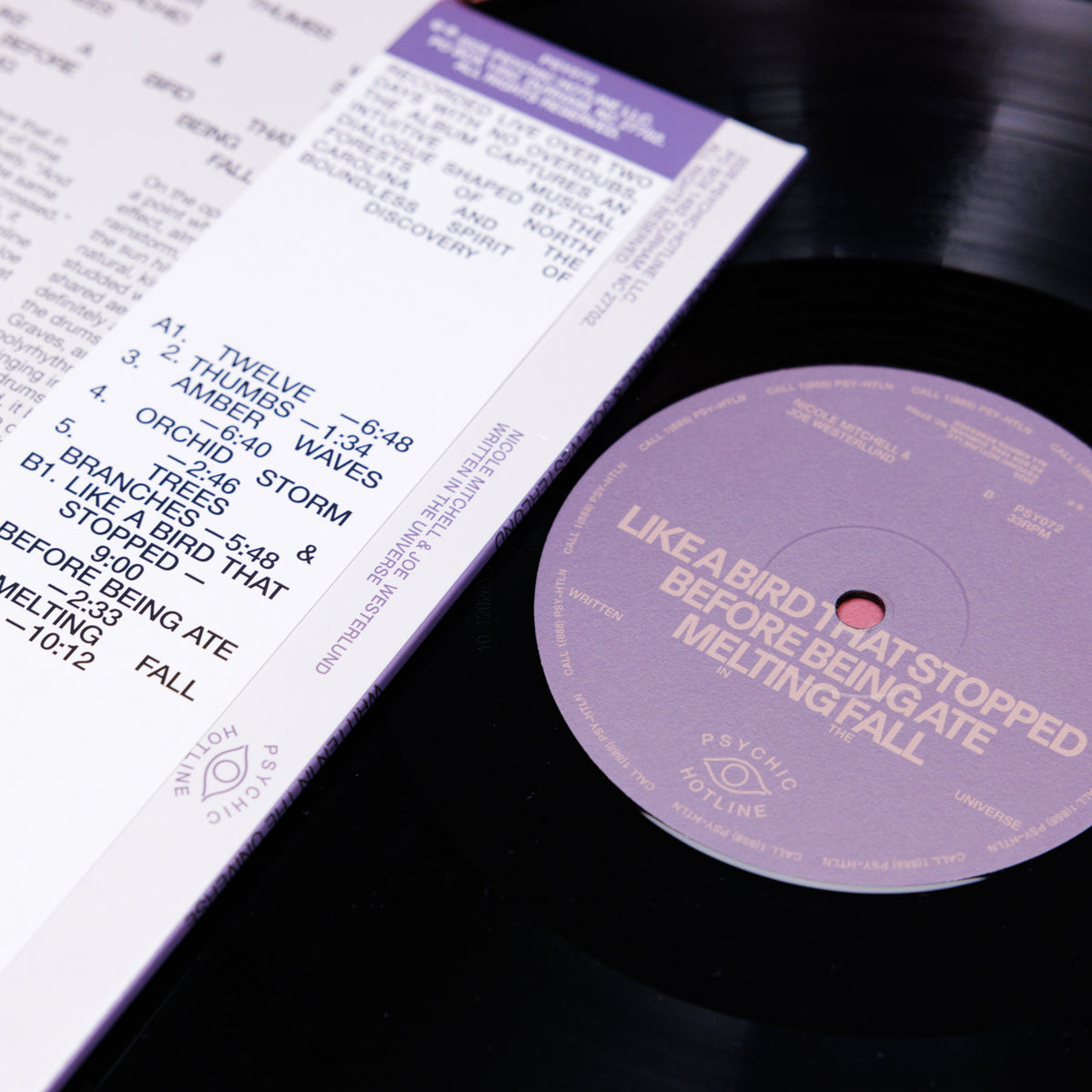 Nicole Mitchell & Joe Westerlund - Written in the Universe (LP)