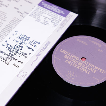 Nicole Mitchell & Joe Westerlund - Written in the Universe (LP)