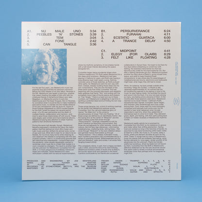 Joe Westerlund - Curiosities from the Shift (2LP)
