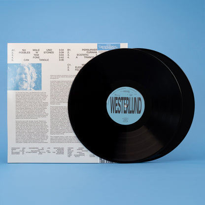 Joe Westerlund - Curiosities from the Shift (2LP)