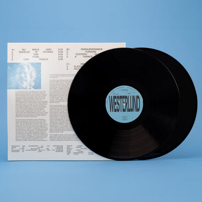 Joe Westerlund - Curiosities from the Shift (2LP)