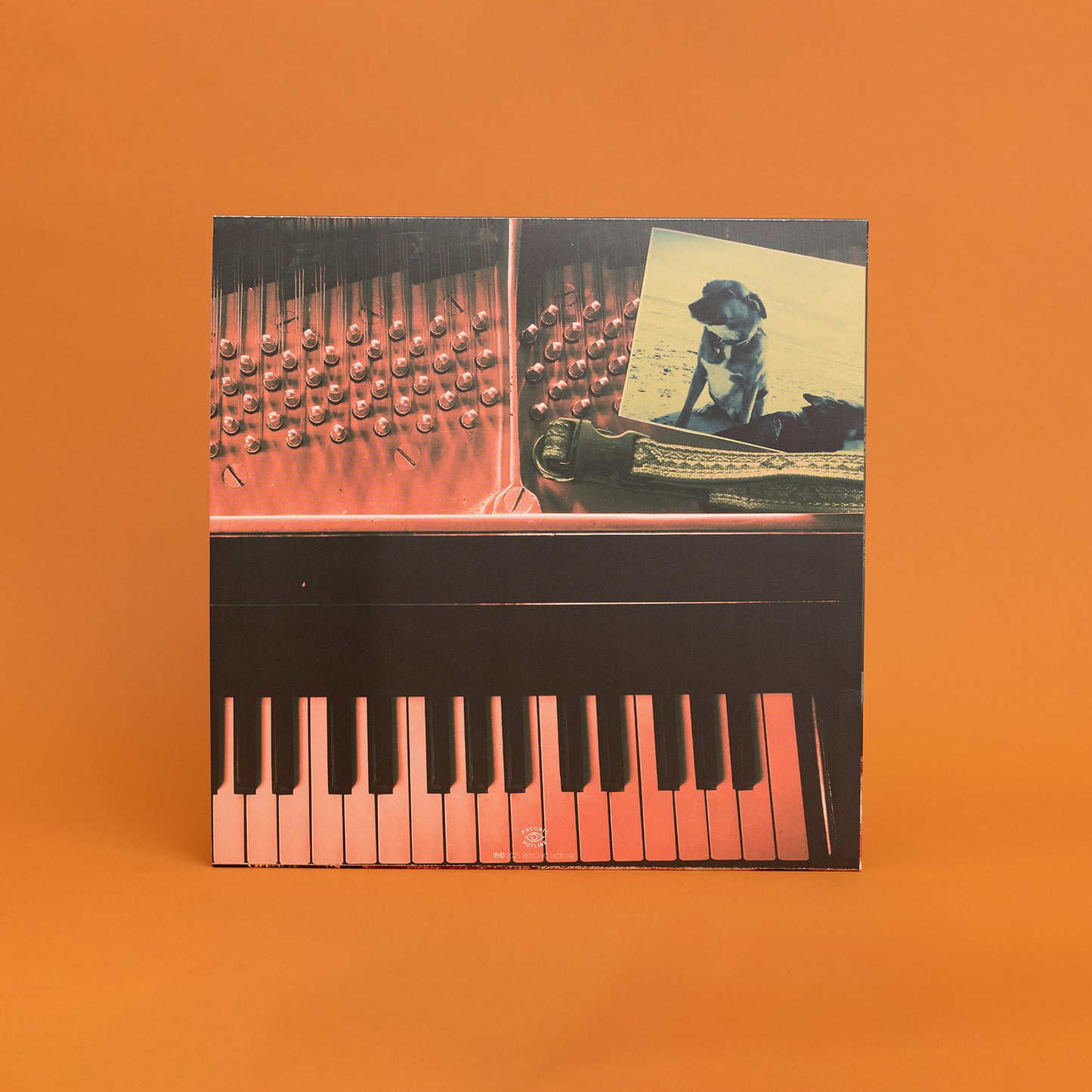 Phil Cook - All These Years LP (Coke Bottle Clear)