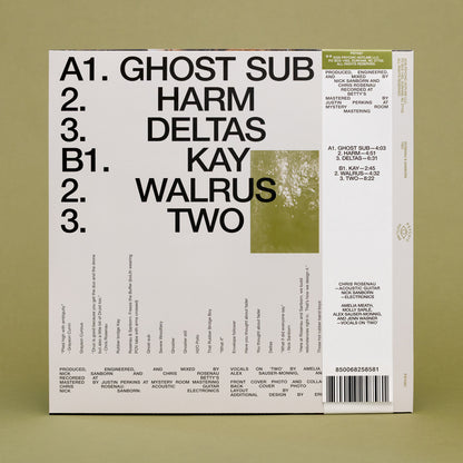 Rosenau & Sanborn - Two (LP)