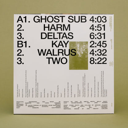 Rosenau & Sanborn - Two (LP)