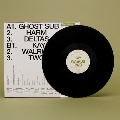 Rosenau & Sanborn - Two (LP)