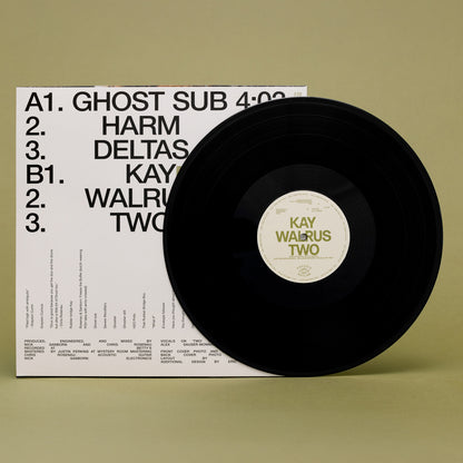 Rosenau & Sanborn - Two (LP)