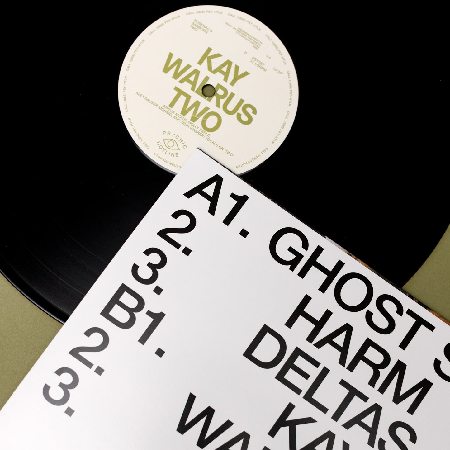 Rosenau & Sanborn - Two (LP)