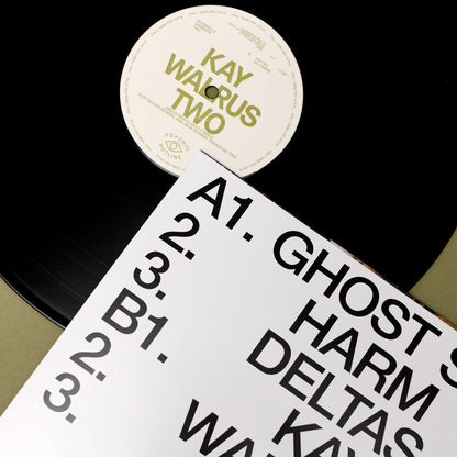 Rosenau & Sanborn - Two (LP)