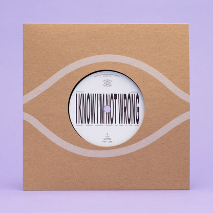 Sam Wilkes - 104.3 (Glossy Edition) (7")
