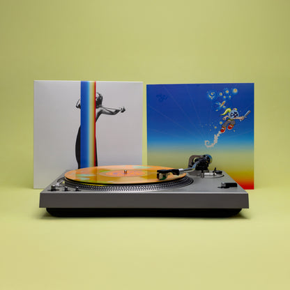 Sylvan Esso - Ow ∞ (Puke Cammo LP)