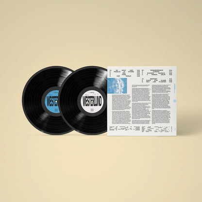 Joe Westerlund - Curiosities from the Shift (2LP)