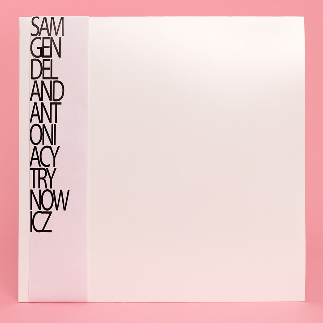 Sam Gendel and Antonia Cytrynowicz - Live a Little (LP)