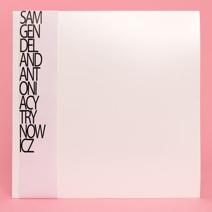 Sam Gendel and Antonia Cytrynowicz - Live a Little (LP)