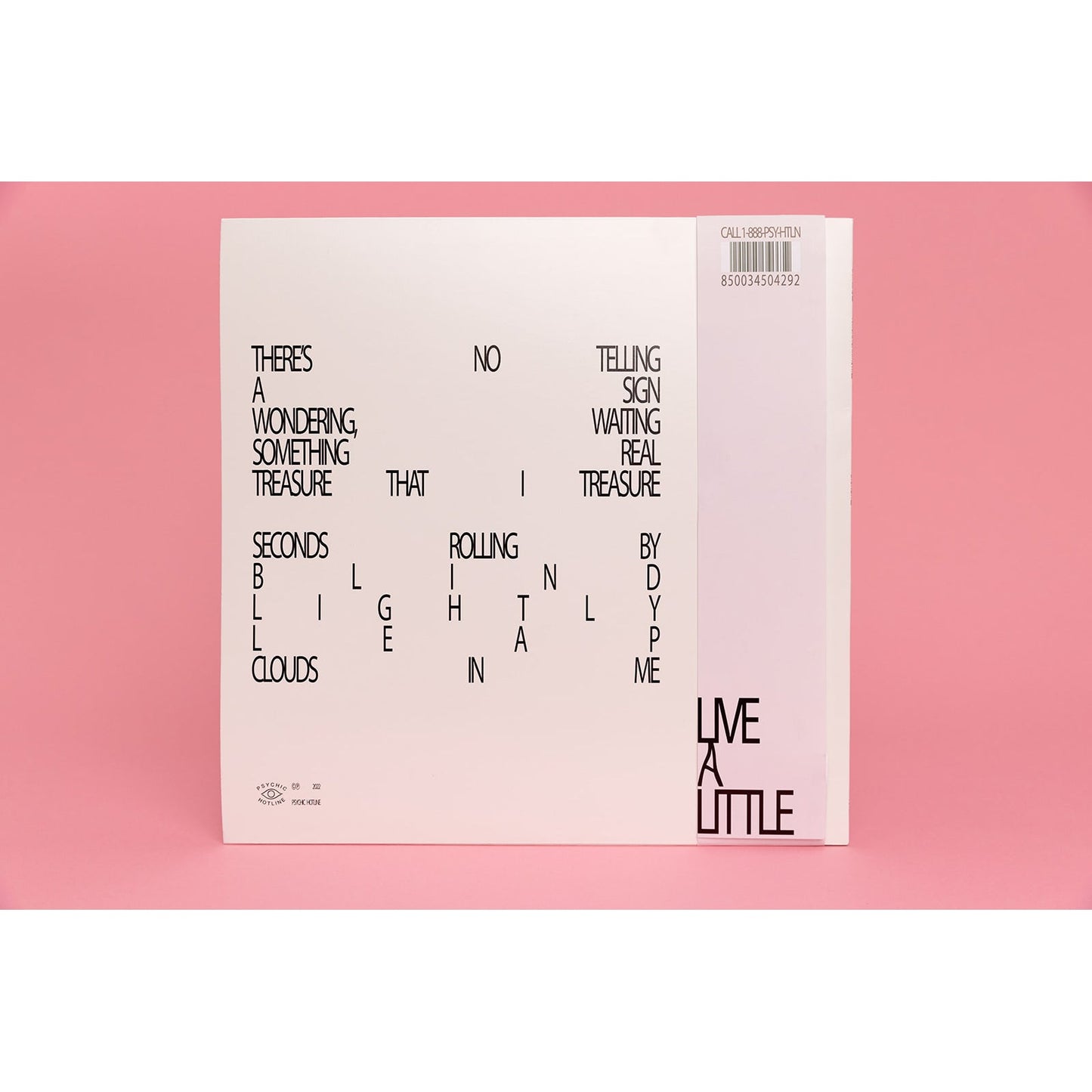 Sam Gendel and Antonia Cytrynowicz - Live a Little (LP)