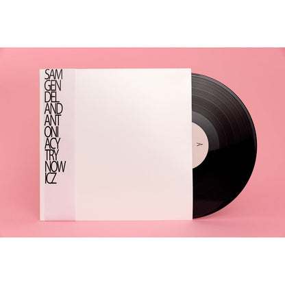 Sam Gendel and Antonia Cytrynowicz - Live a Little (LP)